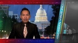 Kilas VOA 29 Januari 2016