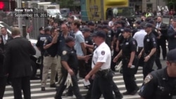 Congressmen Arrested During NY DACA Protest