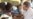 Nigeria Integrates Rotavirus Vaccine into National Vaccination Programs Amid Shortfalls