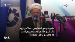 عضو مجمع تشخیص: «۷۰ میلیارد دلار ارز و طلا در دست مردم است که عاطل و باطل مانده‌»