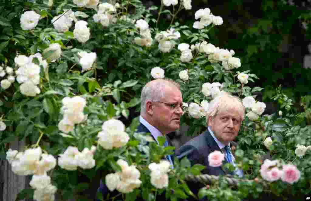 British Prime Minister Boris Johnson, right, walks with Australian Prime Minister Scott Morrison after their meeting, in the garden at 10 Downing Street in London.