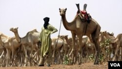 Decenas de miles de tuareg se asentaron en Libia durante el gobierno de Gadhafi.