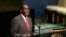 FILE: Robert Mugabe, President of Zimbabwe, addresses the United Nations High-level Thematic Debate on Achieving the Sustainable Development Goals, Thursday April 21, 2016 at U.N. headquarters. (AP Photo/Mark Lennihan)