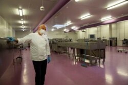 One of Belgium's top chocolate producers Dominique Persoone stands in one of his production rooms with no workers, at his Chocolate Line warehouse in Bruges, Belgium, Friday, April 10, 2020.