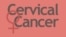 Cervical Cancer