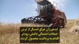 کشاورزان عراق امسال از ترس حملات احتمالی داعش، زودتر اقدام به برداشت محصول کردند