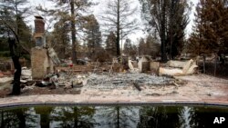 FILE - In this Dec. 3, 2018, file photo, trees reflect in a swimming pool outside Erica Hail's Paradise, Calif., home, which burned during the Camp Fire. 