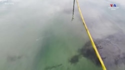 Անօդաչու թռչող սարքը նկարել Կալիֆոռնիայի Հանթինգթոն լողափում ջրի վրա նավթի հետքերը