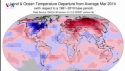 Germbûna Erdê û Rola Wê Ser Jîngehê