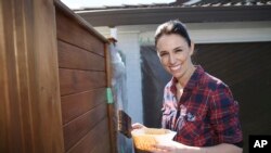 Pemimpin Partai Buruh Selandia Baru Jacinda Ardern mengecat pagar rumahnya di Auckland, Selandia Baru, 23 September 2017.(Foto: dok).