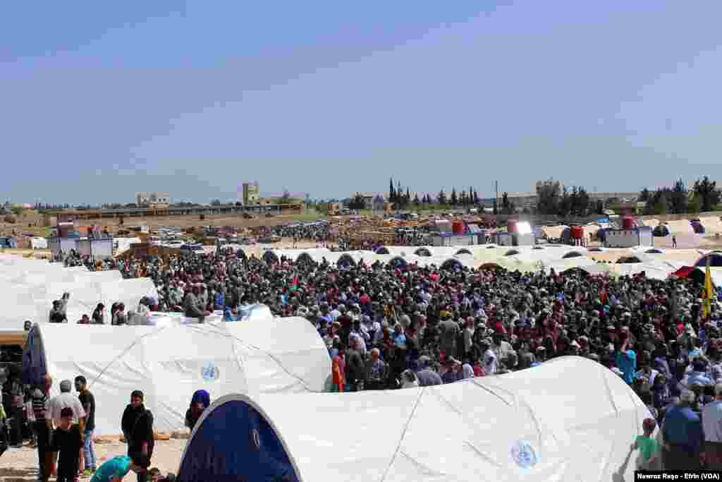 Roja Cîhanî ya bi Efrînê re 