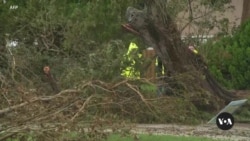 Biden, Florida governor say disaster officials on scene at Hurricane Milton cleanup