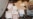 FILE - This image contained in a court filing by the Department of Justice on Aug. 30, 2022, and partly redacted by the source, shows a photo of documents seized during the Aug. 8 FBI search of former President Donald Trump's Mar-a-Lago estate. 