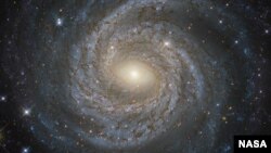 ပစ္စုပ္ပန်ကို တည့်တည့်ကြည့်