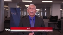 Bultena Rojê: Serok Trump Dibêje Tengava Hormuzê Hatiye Vekirin