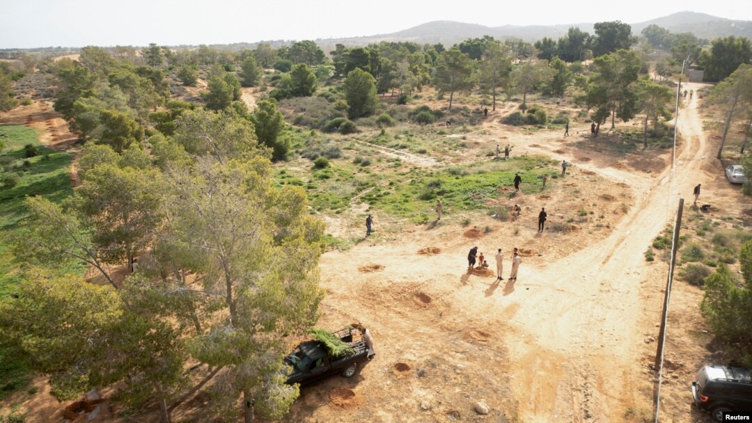 Sukarelawan menanam bibit pohon sebagai bagian dari kampanye penanaman pohon di hutan Al-Nigazah, yang terkena kekeringan akibat perubahan iklim dan kurangnya air hujan, di Khoms, sebelah timur Tripoli, Libya, 23 Oktober 2024. (Ayman al-Sahili/REUTERS)
