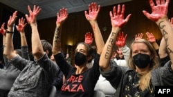 Demonstranti sa porukom "Slobodna Gaza" dižu ruke za vreme senatskog pretresa 31. oktobra 2023. (Foto: AFP/Saul Loeb)