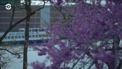 Настоящее Время. Америка – 7 мая 2019