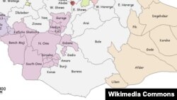 ኣብ መንጎ ወረዳታት አማሮን ጉጂን ዘጋጠመ ግጭት መንግስቲ ሓላፍነት ወሲዱ ነባሪ ፍታሕ ክምጽእ ኢሶዴፓ ጸዊዑ