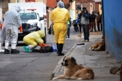 Obreros de la salud recogen el cadáver de un vendedor callejero, presuntamente víctima de COVID-19, que fue encontrado al amanecer por los vecinos en Cochabamba, Bolivia, el 25 de julio de 2020.