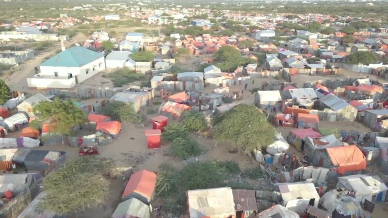 Famine et sécheresse poussent les Somaliens à se déplacer vers la capitale