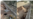 طوفان توییتری در حمایت از دادخواهی بازماندگان کشتار سیاسی دهه ۶۰ و اعتراض به تخریب گورستان خاوران