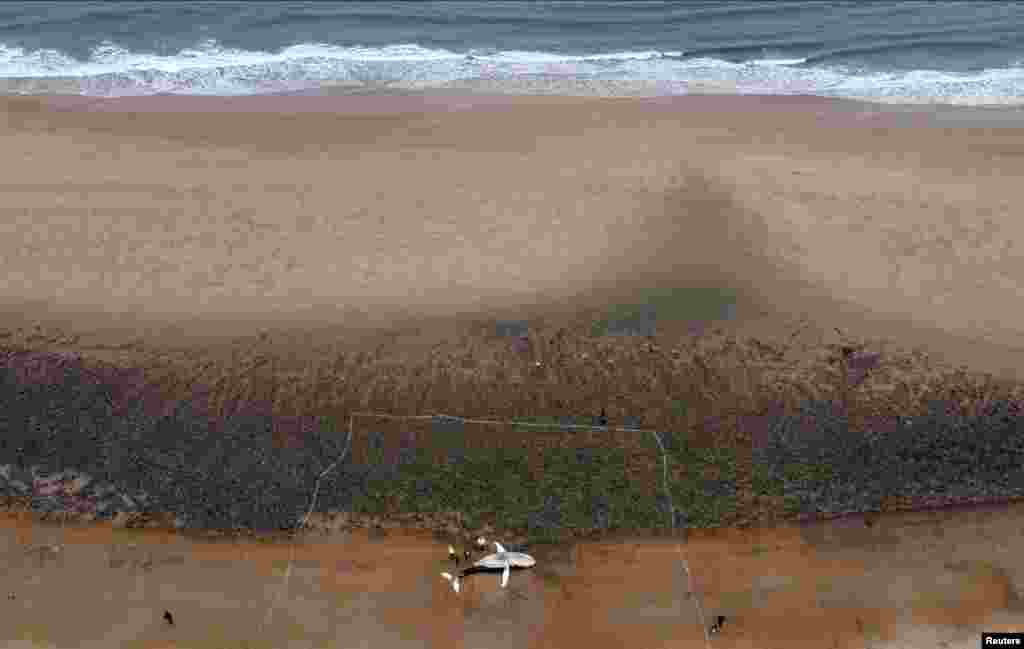A whale is seen washed up on the shore of Blyth beach, Northumberland, Britain.