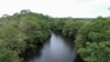 FILE PHOTO: Gabon is home to the world's tallest mangrove trees