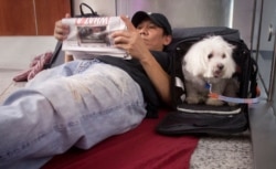 FILE - Stranded passenger Danny Nguyen and his dog Lucky spend the night on the floor of LaGuardia Airport, in New York, July 22, 2013.