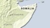 Eyewitness: Somali Pirates Tried to Seize Plane, Passengers