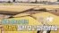 [보아가 간다] 한국 막바지 추수 한창- 올해 쌀 농사는 풍년