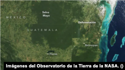 Imagen satelital de la selva maya en Guatemala tomada el 27 de marzo de 2000, antes de la deforestación. [Fotografía: Observatorio de la Tierra de la NASA]