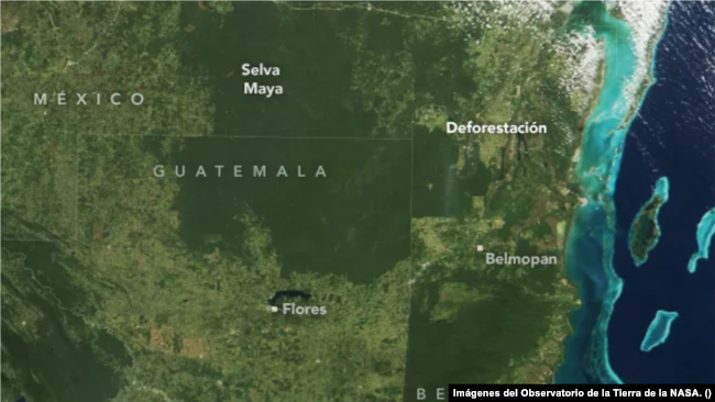 Imagen satelital de la selva maya en Guatemala tomada el 27 de marzo de 2000, antes de la deforestación. [Fotografía: Observatorio de la Tierra de la NASA]