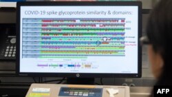 Struktura e proteinave të një vaksine të mundshme për COVID-19, shfaqet në laboratorët Novavax, në Merilend, SHBA