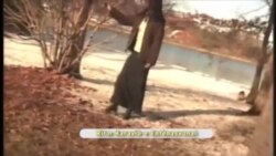 Didi Jérémie Gen yon Nouvo Albòm, Lap Pale de li nan Ritm Karayib