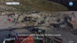Midilli’de 20 Milyon Yaşında Ağaç Fosili Bulundu