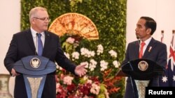 Perdana Menteri Australia Scott Morrison dan Presiden Joko Widodo saat bertemu di Istana Presiden Bogor, 31 Agustus 2018.