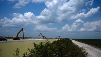 Florida and the Federal Government Support Huge Projects to Clean Up the Everglades