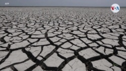 Cambio climático: Corredor seco