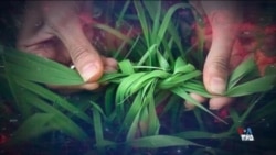 سیزده بدرامسال زیر سایه جنگ، اعدام، و صف کشی جمهوری اسلامی علیه مردم در خیابان‌ها