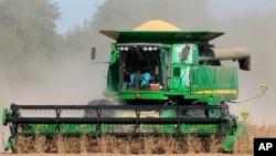 Panen kacang kedelai dekat Avoca, Nebraska, 14 Oktober 2015. (Foto: dok).