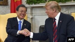 도널드 트럼프 미국 대통령과 문재인 한국 대통령이 지난 4월 백악관에서 열린 정상회담에서 악수하고 있다.