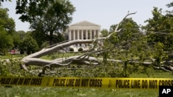 An American beech tree lies on Capitol Hill grounds in Washington, June 30, 2012, in front of the U.S. Supreme Court.