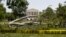 An American beech tree lies on Capitol Hill grounds in Washington, June 30, 2012, in front of the U.S. Supreme Court.
