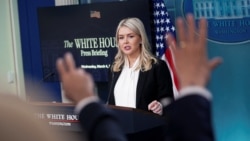 کارولین لیویت، سخنگوی قصر سفید