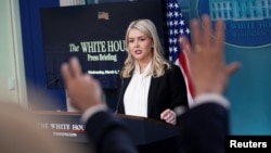 کارولین لیویت، سخنگوی قصر سفید