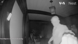 威尔逊深夜敲门告诉邻居米尔格罗姆获诺贝尔奖