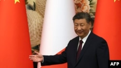 El presidente chino, Xi Jinping, durante un acto oficial en el Gran Salón del Pueblo en Beijing el 8 de noviembre de 2024. El jueves 14 de noviembre inaugurará el primer puerto chino en Latinoamérica construido en Perú.