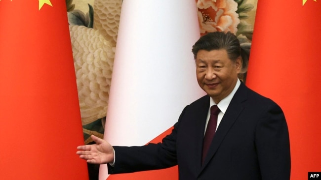 El presidente chino, Xi Jinping, durante un acto oficial en el Gran Salón del Pueblo en Beijing el 8 de noviembre de 2024. El jueves 14 de noviembre inaugurará el primer puerto chino en Latinoamérica construido en Perú.