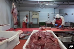 A butcher works on a shoulder of venison at Ben Rigby's venison meat facility in Mundon, England, Thursday, Oct. 31, 2024. (AP Photo/Alastair Grant)